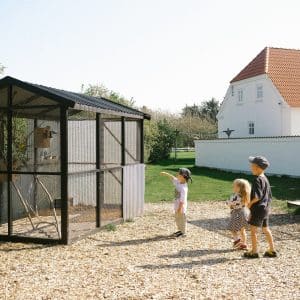 Minizoo-fugl-4 Tre børn kigger på fugle i Mini-Zoo på Løkken Klit Camping