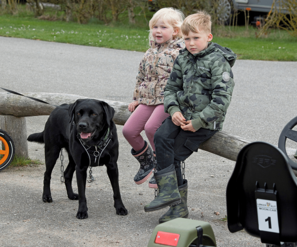 Børn sidder ved mooncars med deres hund ved siden af