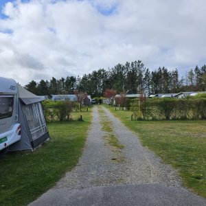 Camping-6 Vej på Løkken Klit Camping med campingvogne og beplantning
