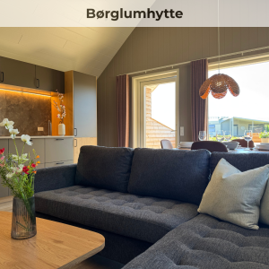Boerglumhytte-sofa Opholdsrummet i Børglumhytte